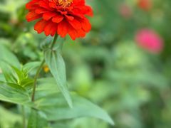 -小陆莲花蟹园农家乐(莲花岛店)
