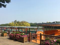 -大湾区中央湿地公园
