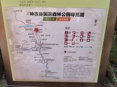 -炎陵县神农谷国家森林公园