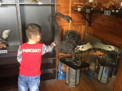 -南京金牛湖风景区