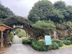 门面-龙井草堂