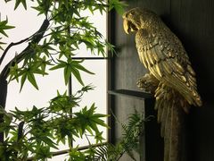-美达尔烧烤海鲜家常菜(泰山路店)
