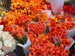 -循礼门鲜花花市(武汉循礼门店)