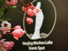 -莫愁湖公园