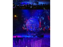 -广州长隆国际大马戏