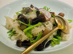 -CHIC1699远洋私厨