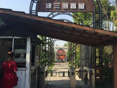 -金山农民画村-枫泾波兰倒置屋
