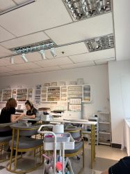 -丽心自助美甲美睫