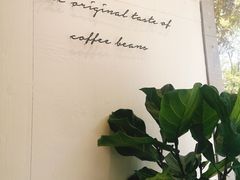 -red donkey coffee