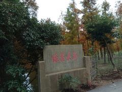 -长兴岛郊野公园农场食堂
