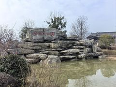 -大唐贡茶院
