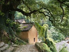 -杨家堂村