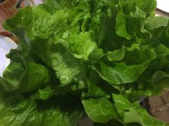 -丰乐斑鱼庄(建业·壹号城邦店)