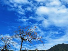 -塔川景区