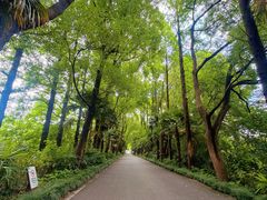 -同里国家湿地公园