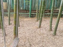 -陶祖圣境风景区