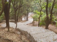 -火炉山森林公园