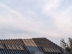 -上海滨江森林公园