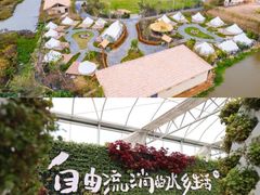 -江门古劳水乡旅游区