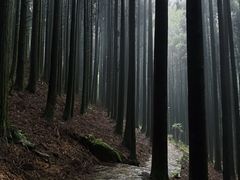 -山王坪喀斯特国家生态公园