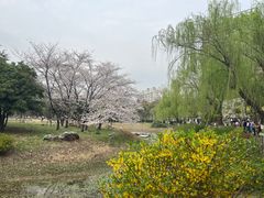 -堤角公园