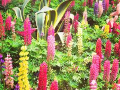 -南通洲际绿博园