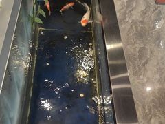 -洞庭家宴·头牌甲鱼(广渠门店)