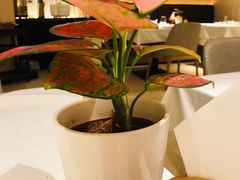 -悦融琥珀·京鲁菜·海味珍品(西单店)
