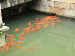 -昭明书院