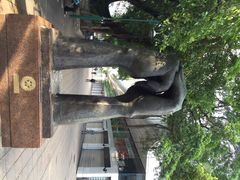 九龙公园-九龙公园