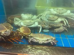 -阳光码头海鲜火锅(世纪大道店)