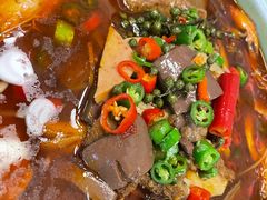 毛血旺-台北楚楚园馅饼粥(虹桥南丰城店)
