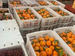 -西郊国际农产品交易中心