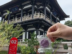 -大明寺素斋