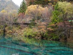 -九寨沟-树正沟