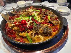 -老板恋上鱼(高新万达店)