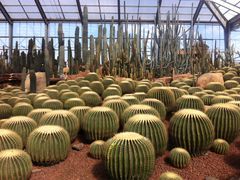 -南通洲际绿博园