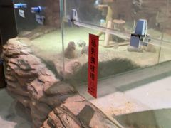 -正佳雨林生态植物园
