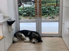 -李小姐の猫咖啡馆(五角场店)