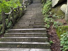 -汤旺河林海奇石景区