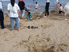 -碧海金沙