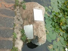-前关湿地公园