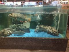 -聚福宝合苑食府(南头镇店)