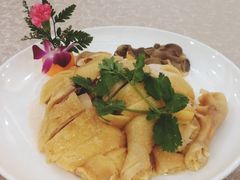 家养本地奄鸡-馨越楼·点心·粤菜(赤坎店)