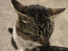 -味友·厦门味(集美店)