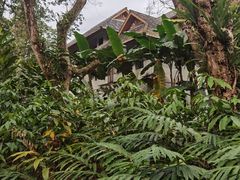 -中国科学院西双版纳热带植物园