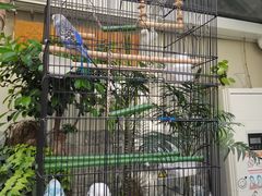 -丽江庭院之丽江往事(安定门店)