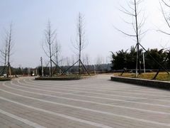 -秀丽东方