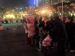 -厦门园林博览苑