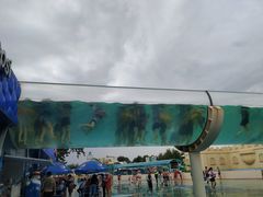 -秦皇岛乐岛海洋王国